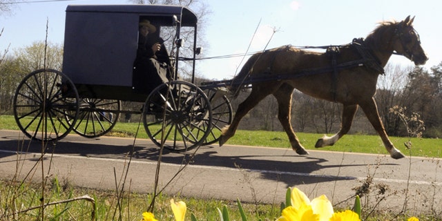 March 27, 2012: An Amish buggy along Route 44 in Madison Township near White Hall, Pa.