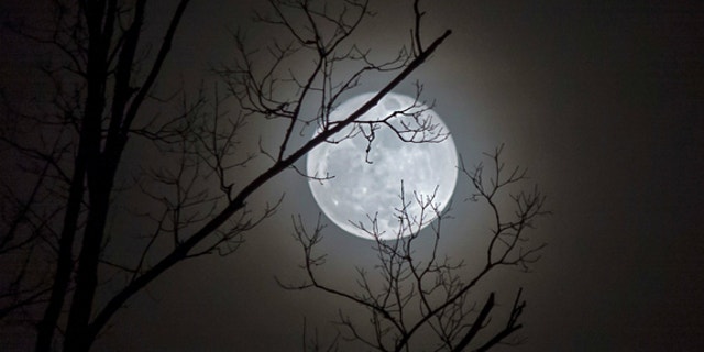 The full moon, captured by astrophotographer Jennifer Rose Lane on Jan. 5, 2015, in Chapmanville, West Virginia. Tonight (July 31) there will be a Blue Moon in the sky.