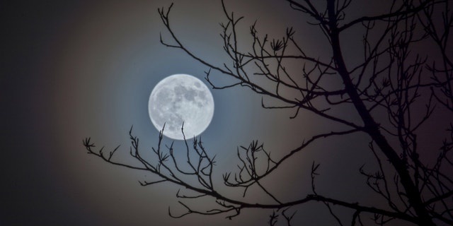March 2016 Full Moon - Jennifer Rose Lane