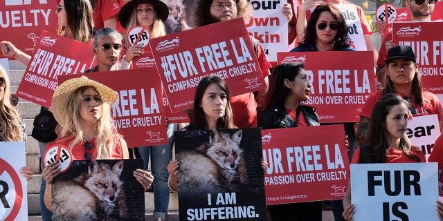 The council voted unanimously to direct the city attorney to draft an ordinance that will prohibit the manufacture and sale of fur products.