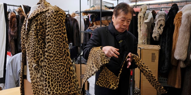 Benjamin Lin looks over a 60-year-old cheetah jacket he is restoring at the B.B. Hawk showroom in San Francisco on March 16, 2018.
