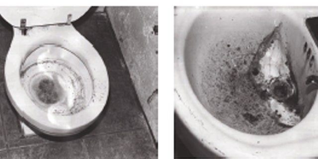 Shown here are pictures of the bathroom used by an elder abuse victim in Missouri. (GAO.gov)