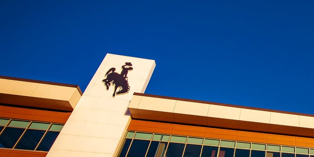 The official logo for the University of Wyoming is a cowboy riding a bucking horse.