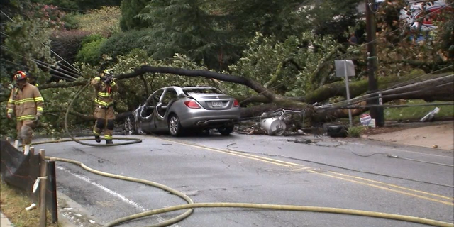Sam Lenaeus' Mercedes became stuck near live power lines.