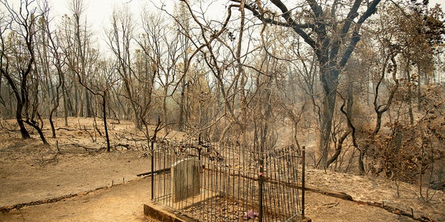 The historic Pioneer Baby's Grave rests among trees scorched by the Carr Fire in Shasta, Calif., on Friday, July 27, 2018.