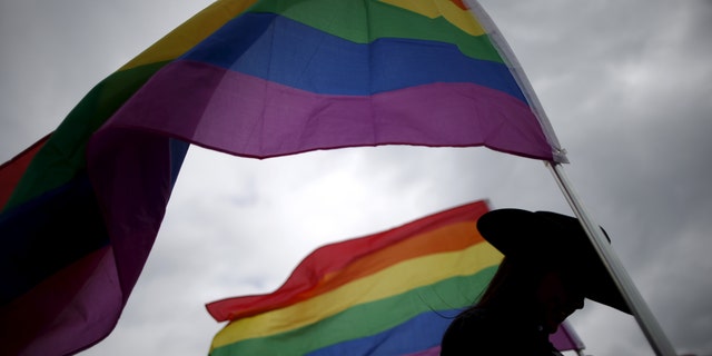 File photo - A woman holds rainbow flags for the grand entry at the International Gay Rodeo Association's Rodeo In the Rock in Little Rock, Arkansas, United States April 26, 2015.