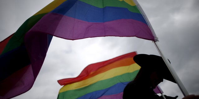 File photo - A woman holds rainbow flags for the grand entry at the International Gay Rodeo Association's Rodeo In the Rock in Little Rock, Arkansas, United States April 26, 2015. ( REUTERS/Lucy Nicholson)