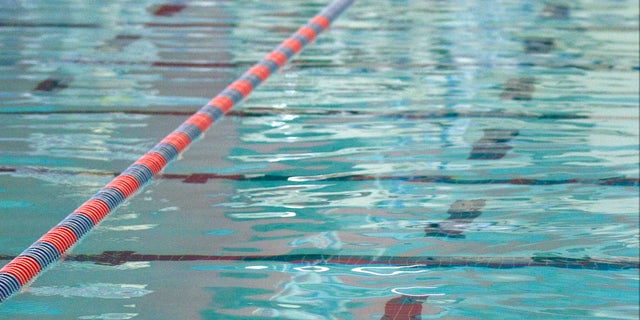 generic swimming pool 110