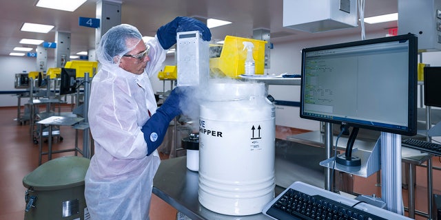 In this July 9, 2015, photo, provided by Novartis Pharmaceuticals Corp., human T cells belonging to cancer patients arrive at Novartis Pharmaceuticals Corp.'s Morris Plains, N.J., facility. This laboratory is where the T cells of cancer patients are processed and turned into super cells as part of a new gene therapy-based cancer treatment Novartis is a part of. (Brent Stirton/Courtesy of Novartis Pharmaceuticals Corp. via AP)