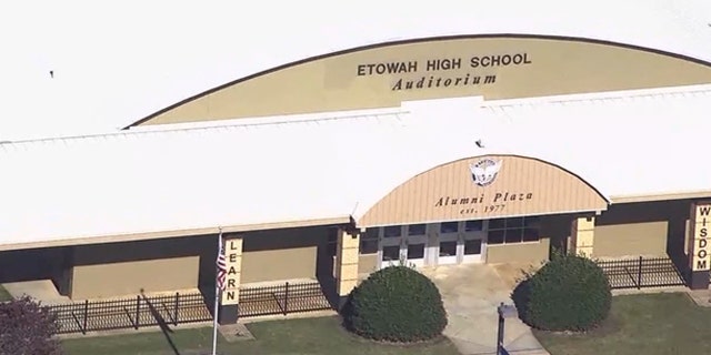 Two Georgia teenagers who allegedly made threats against their high school have been arrested.