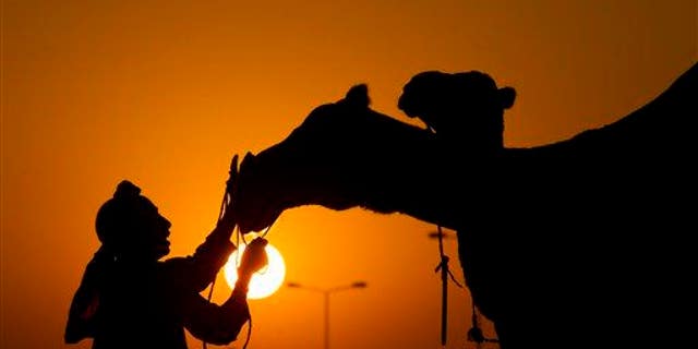 A camel milk seller comforts his camel at a roadside in Islamabad, Pakistan.