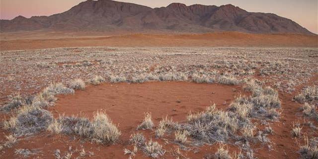 In this photo provided by Jen Guyton, one of the mysterious “fairy circles” in the Namib Desert that dot the area with circular barren patches. (Jen Guyton/www.jenguyton.com via AP)