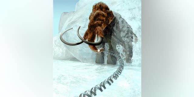 A 3D computer-generated image produced by ExhibitEase LLC shows a woolly mammoth emerging from ice block.