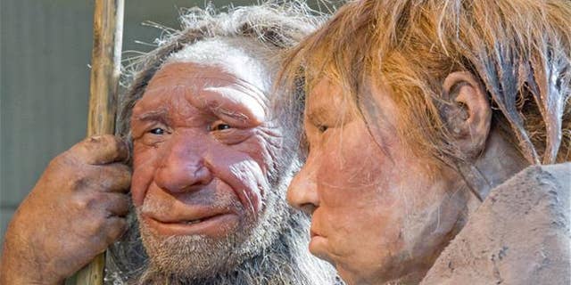 File photo - This March 20, 2009 photo shows reconstructions of a Neanderthal man named "N," left, and woman called "Wilma," right, at the Neanderthal Museum in Mettmann, Germany.