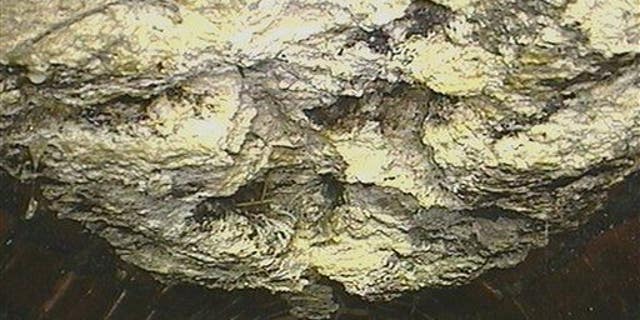 Part of the massive "fatberg" recently found lurking in the sewer under London. Now Baltimore has its own.