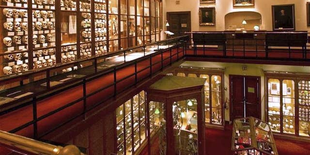This July 12, 1999, file photo shows a portion of the two floors of the Mutter Museum, a medical museum in Philadelphia.