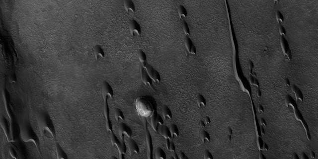 Barchan dunes march across a plain in the Hellespontus region, west of Hellas basin, on Mars. The orientation of their horns indicates consistent winds out of the east, blowing top to bottom in this image captured by the Mars Reconnaissance Orbiter. Sunshine lights the steep slopes of the leeward, or downwind, faces, on the dunes’ lower sides. The dunes migrate with the wind, sometimes merging or extending long fingers that spawn new dunes. (Credit: NASA/JPL/University of Arizona)