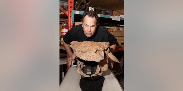 Actor Dan Aykroyd poses in the Royal Ontario Museum's paleontology collections room with fossils of Zuul crurivastator, a new species of armored dinosaur named after the beast Zuul from the film “Ghostbusters” at the Royal Ontario Museum in Toronto, Canada on on April 21, 2017. Brian Boyle/Royal Ontario Museum/Handout via REUTERS