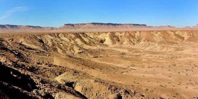 Image result for huge crocodiles found under the sahara
