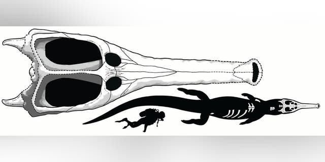 Image result for huge crocodiles found under the sahara