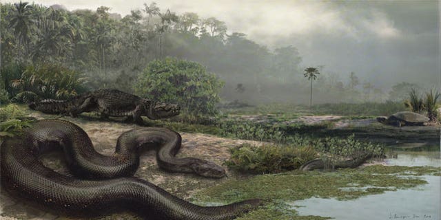 The extinct giant snake, called Titanoboa (shown in an artist's reconstruction), would have sent even Hollywood's anacondas slithering away.