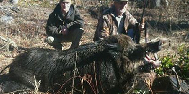 Bruce Florence and his son, Jonathan Florence, bagged this enormous wild boar in North Carolina earlier this month.