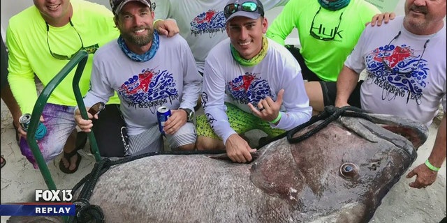 James Taylor and friends pose with the 409-pound Warsaw grouper he caught over the weekend.