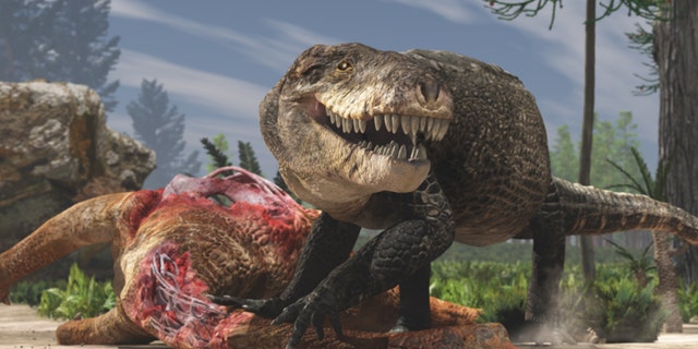 A paleoartistic restoration of Razanandrongobe sakalavae scavenging on a sauropod carcass in the Middle Jurassic of Madagascar. Unlike extant crocodilians, this terrestrial predator had a deep skull and walked on erect limbs. Credit: Fabio Manucci