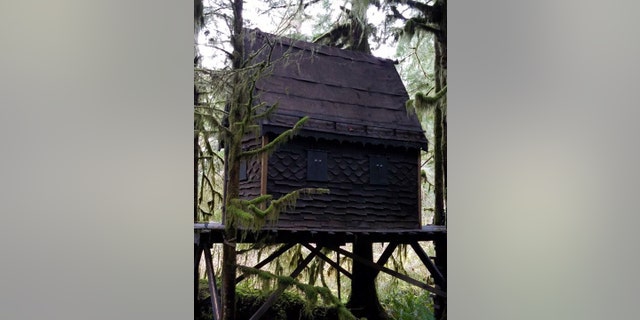 The 'treehouse' in Washington state's Snoqualmie National Forest.