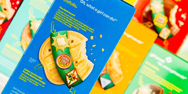 A troop leader named Leah Ann Vick reportedly fled with an enormous shipment of Girl Scout cookies.