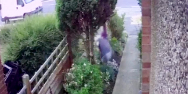 "I thought watching a gnome theft would be bizarre enough...but I certainly wasn't expecting that. He must have had a few that night," someone commented on social media.