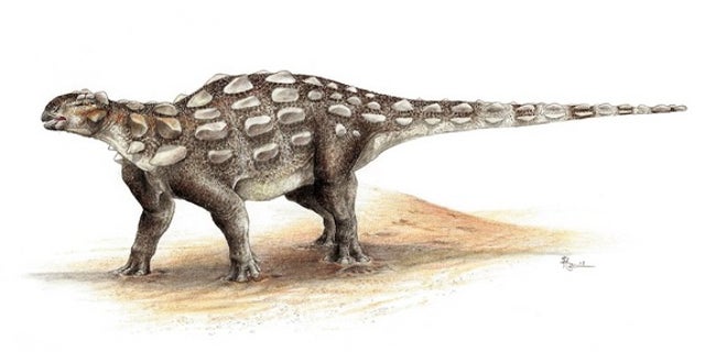 An illustration of <em>Gobisaurus</em>, an ankylosaur with a stiff tail but no knob of bone at the end.