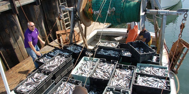 David Goethel, of Hampton, N.H., is seen here on board his commercial fishing boat.