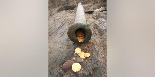 Gold coins and a cannon discovered in the Namibian shipwreck (Dieter Noli)