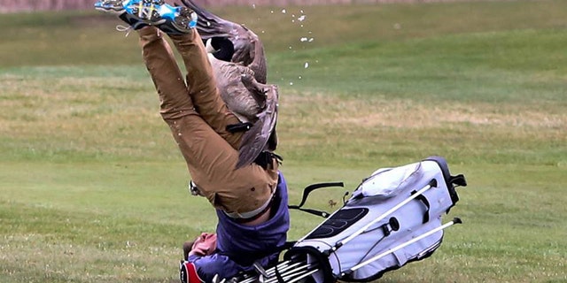 A goose upended high school golfer Isaac Couling at a tournament in Michigan over the weekend.