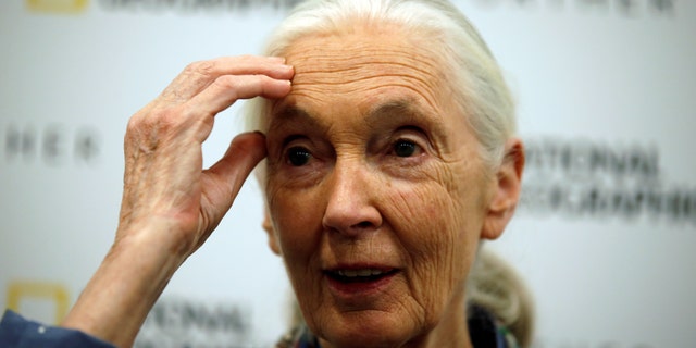 File photo: Conservationist and primatologist Jane Goodall speaks during a news conference at the National Geographic summit in Lisbon, Portugal May 25, 2017. (REUTERS/Rafael Marchante)