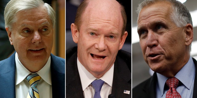 Sens. Lindsey Graham, R-S.C., Chris Coons, D-Del., and Thom Tillis, R-N.C. co-sponsor the legislation with Cory Booker, D-N.J.
