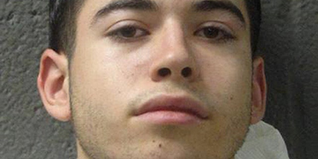 This undated photo provided Sept. 13, 2011 by the Cook County Sheriff's Department, shows 17-year-old John Granat, of Palos Park, Ill.