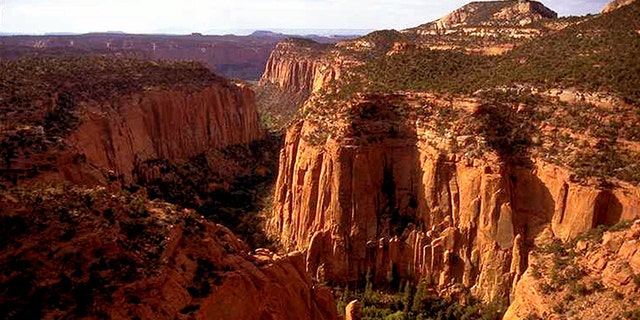 The Upper Gulch section of the Escalante Canyons in Utah's Grand Staircase-Escalante National Monument features steep sandstone walls, sometimes broken up by tributary canyons.