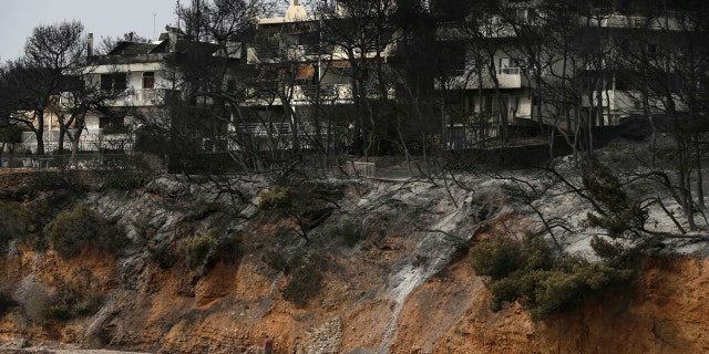 A man walks on the beach where burned trees hug the coastline in Mati east of Athens.