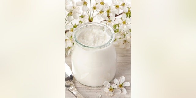 Fresh greek yogurt with white flower background