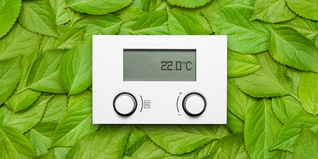 Electronic thermostat on leaves