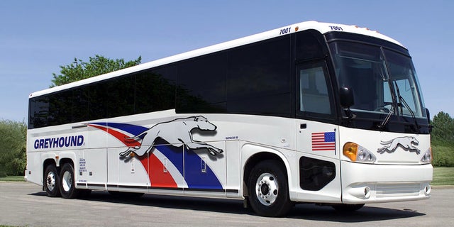 greyhound bus 17