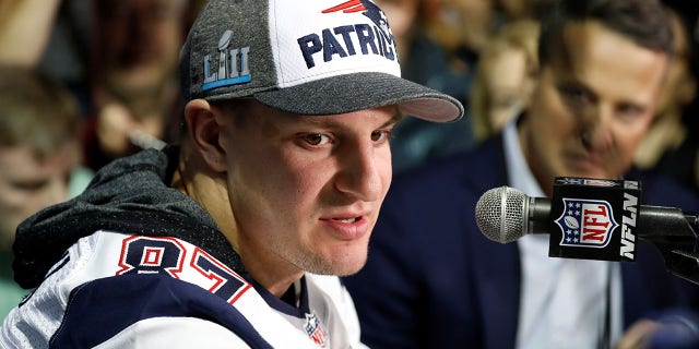 New England Patriots tight end Rob Gronkowski purchased a "significant stake" in a Kentucky Derby horse that shares his name.
