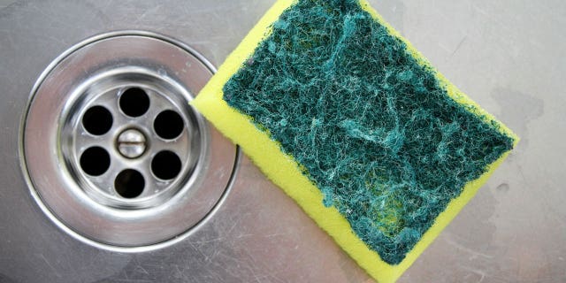 The tried-and-true methods for de-funkifying a nasty sponge.