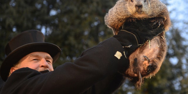 Handler John Griffiths introduces Punxsutawney Phil to the crowd at Gobbler's Knob.