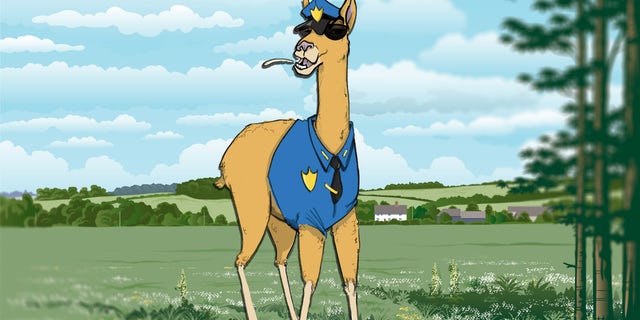 guard llama