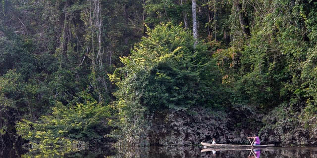 Local communities heavily rely on healthy rivers and forests of the Kaieteur and Upper Potaro area in Guyana for their wellbeing.