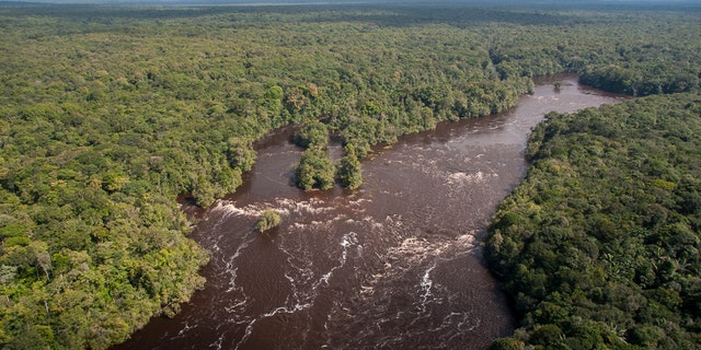 Forests and rivers of the Kaieteur.
