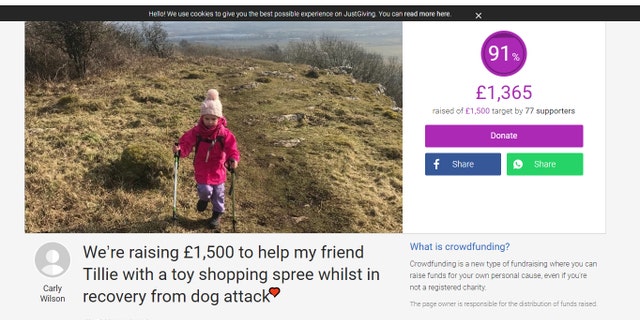 Tillie's friend Halle is hiking to raise money to cheer up her friend, who is currently recovering in a hospital.